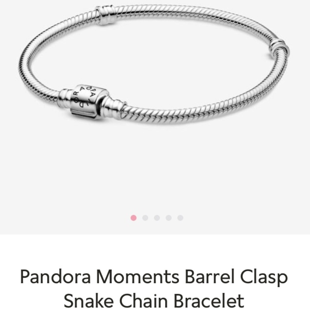 Pandora Charm Bracelet